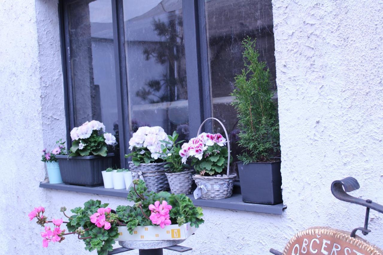 Apartmany Caffe & Grill رودنيتسي ناد لابيم المظهر الخارجي الصورة